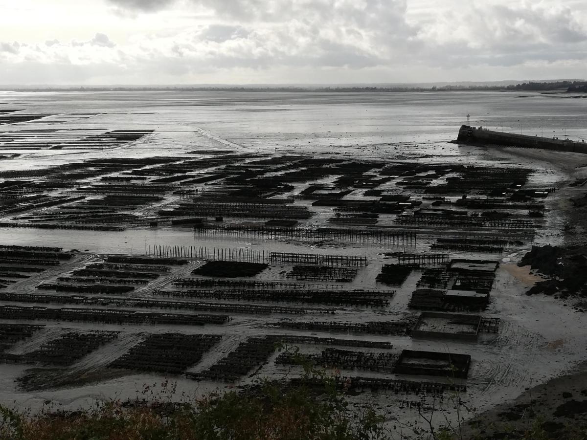 Chambres D'Hotes Les Fleurettes En Baie Du Mont Saint Michel Екстер'єр фото